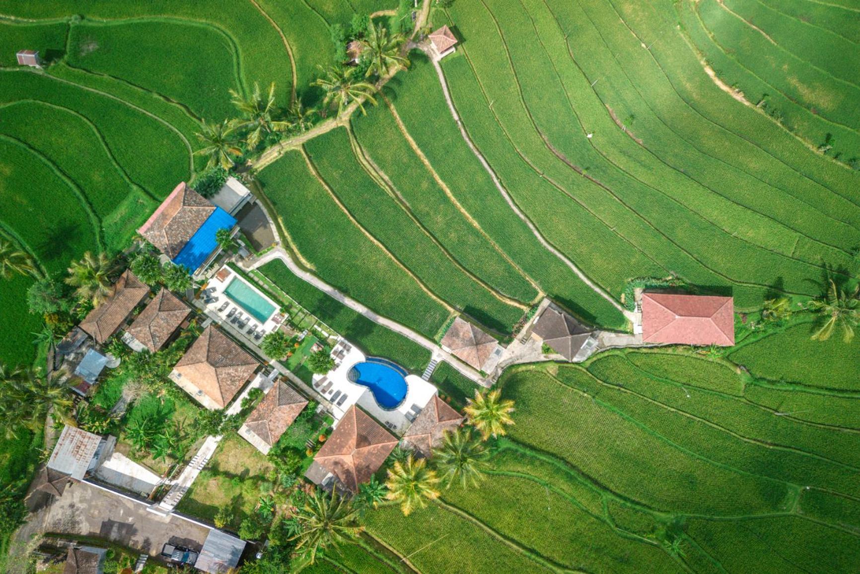 Villa Sande Munduk Zewnętrze zdjęcie